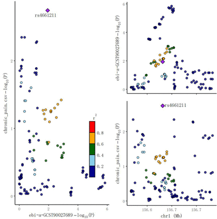 Figure 4a