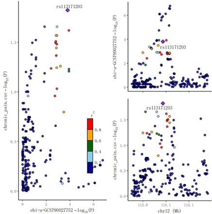 Figure 4b