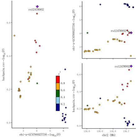 Figure 4i