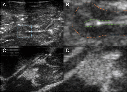 Figure 4.