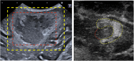 Figure 6.