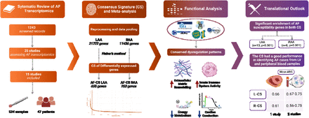 Graphical abstract