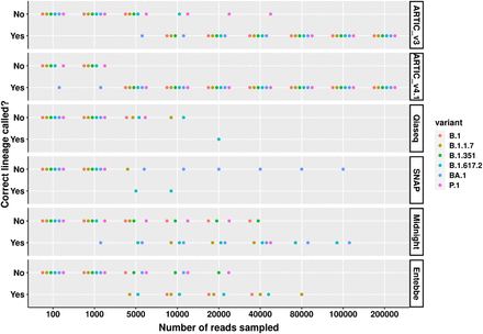 Supplementary Figure 7: