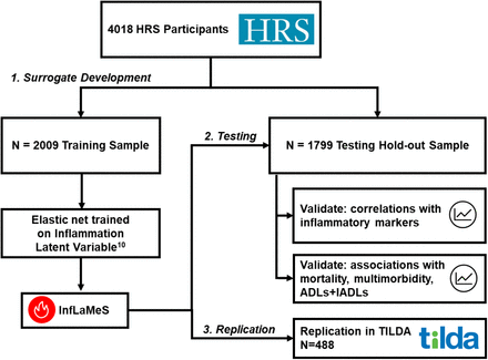 Figure 1.