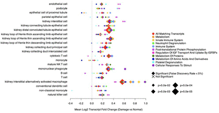 Figure 5: