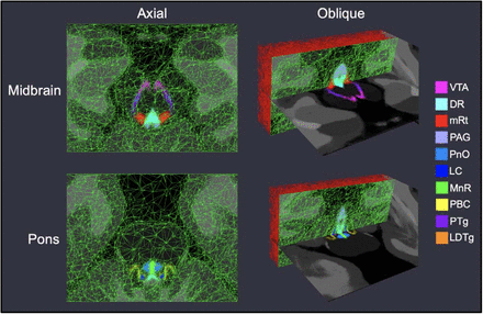 Figure 2: