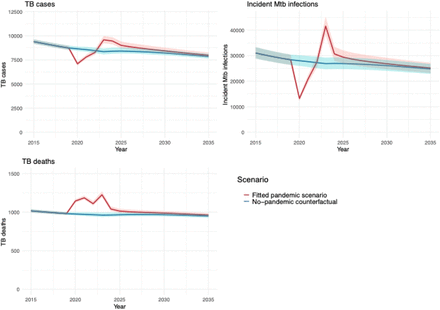 Figure 2: