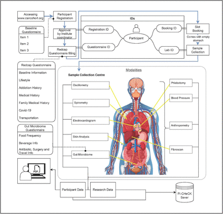 Figure 3: