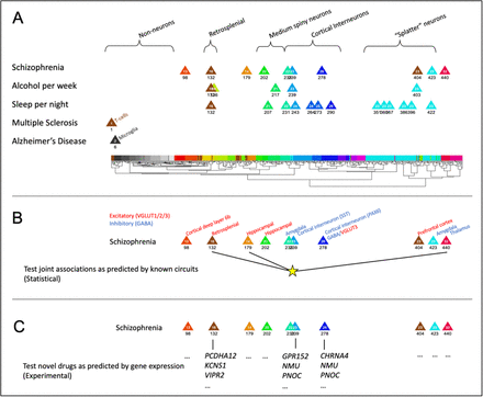 Figure 6.