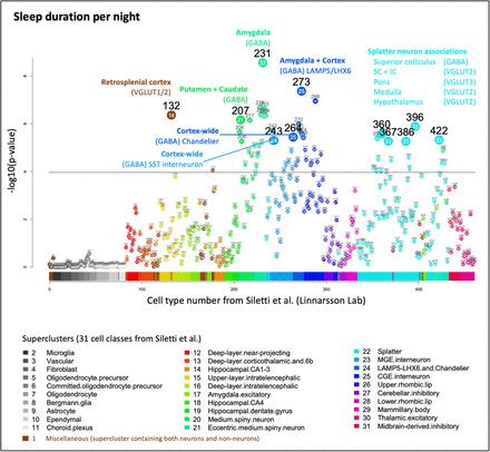 Supplementary Figure 2.