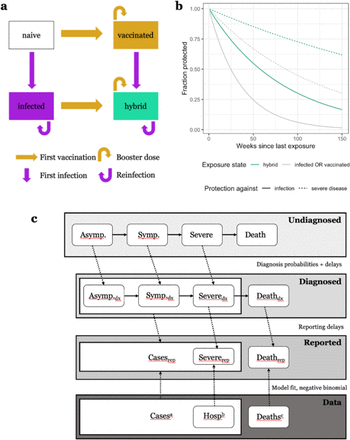 Figure 1: