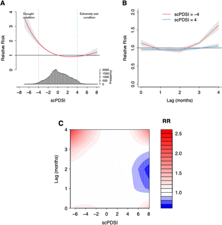 Figure 3: