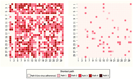 Fig 11.