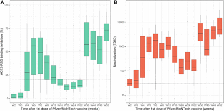 Figure 4: