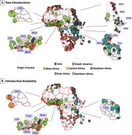 Figure 4: