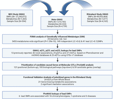 Figure 1: