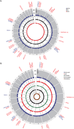 Figure 2: