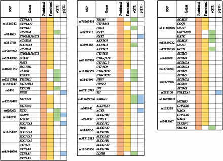 Figure 4: