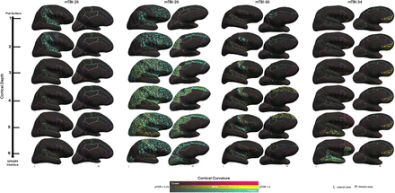 Figure 4: