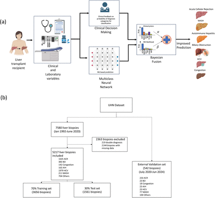 Figure 1: