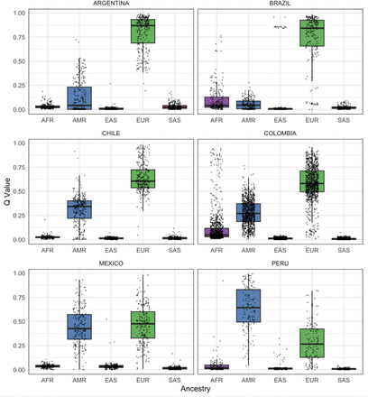 Supplementary figure 3.