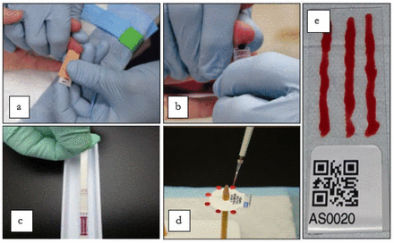 Figure 4.