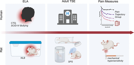 Figure 1: