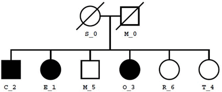 Figure 1: