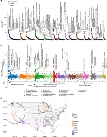 Fig. 3: