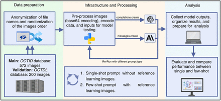 Figure 1: