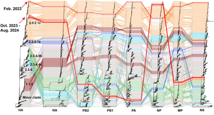 Figure 2.