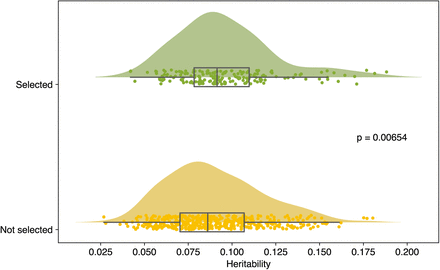 Supplementary figure 8: