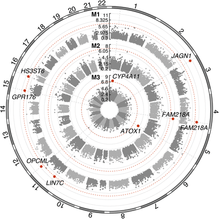 Supplementary figure 20: