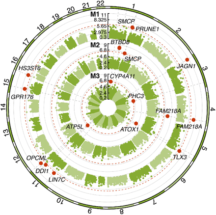 Figure 6: