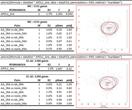 Supplemental Figure 6: