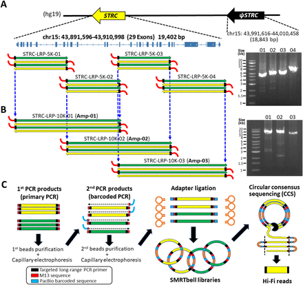 Figure 1.