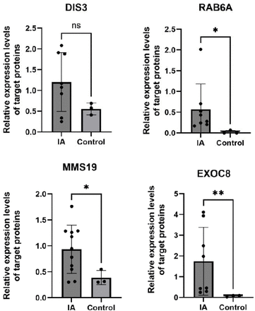 Figure 6.