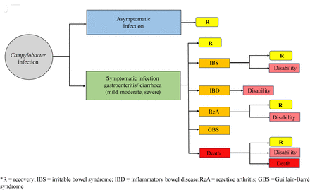 Fig 3.