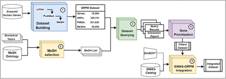 Figure 1: