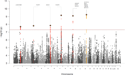 Figure 2: