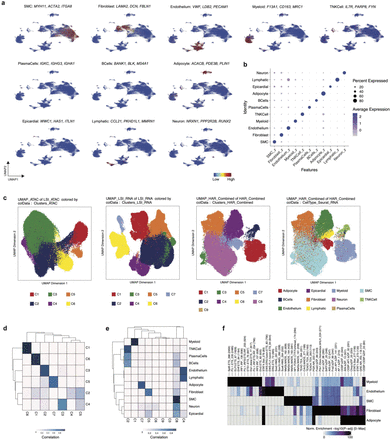 Extended Data Figure 2.