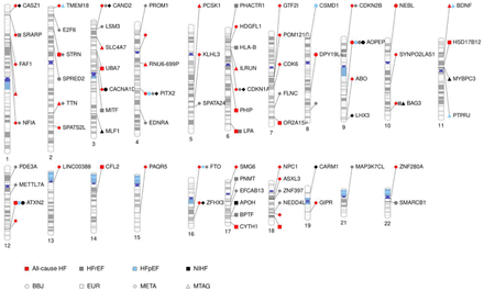 Supplementary Fig. 5.