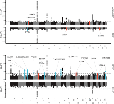 Supplementary Fig. 6.