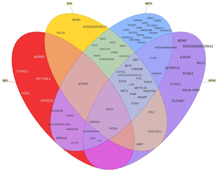 Supplementary Fig. 11.