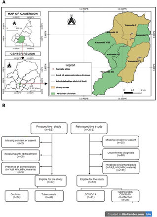 Figure 1: