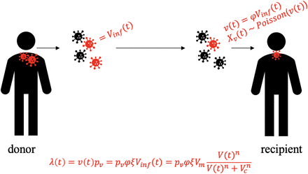 Supplements Figure 9