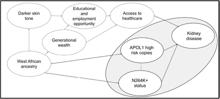 Fig 14.