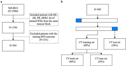 Figure 1: