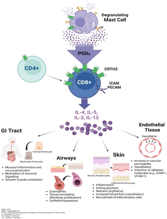 Figure 1: