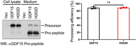 Supplementary Figure S4.